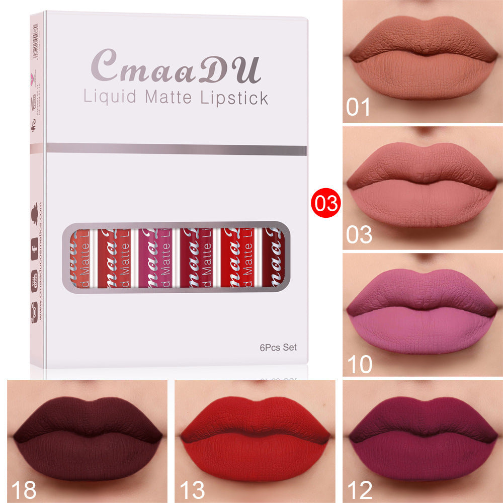 Matte Non-stick Cup Waterproof Lipstick Long Lasting Lip Gloss