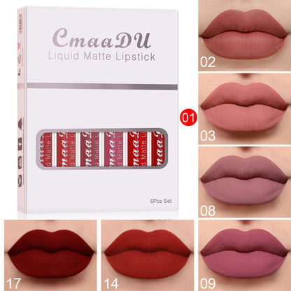 Matte Non-stick Cup Waterproof Lipstick Long Lasting Lip Gloss